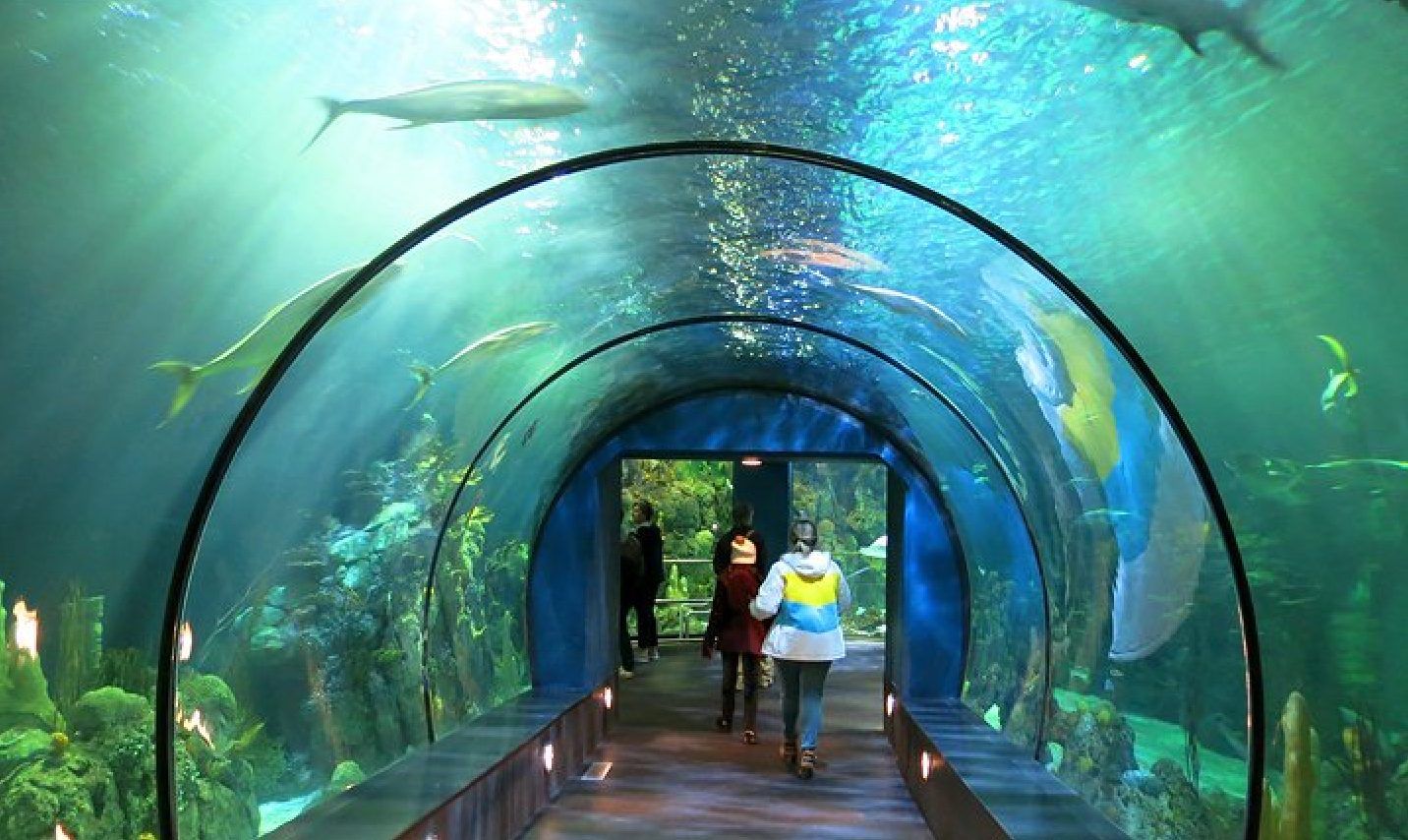 Aquarium Pyramid